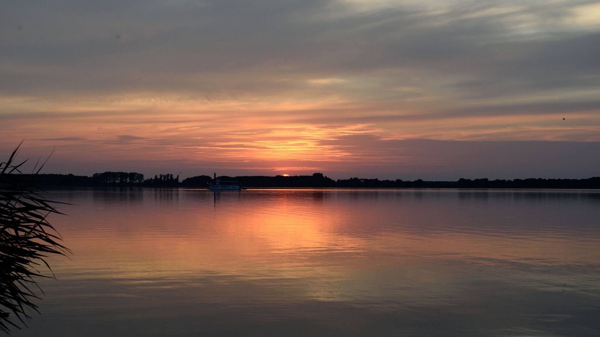 Arendsee Apartment | Apartment right on the Arendsee incl. breakfast