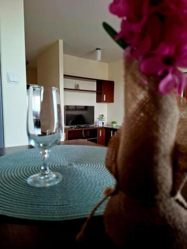 Bialystok Apartment | Apartment SANRiSe