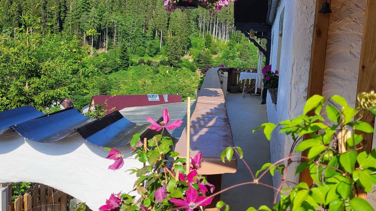 Huzenbach Apartment | Apartment 'Schwarzwaldglück' with Mountain View, Shared Terrace and Wi-Fi