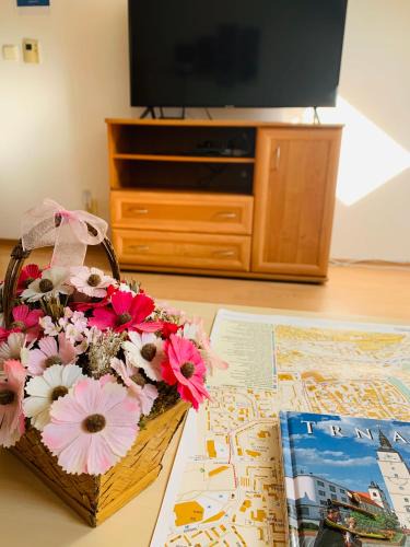 Biely Kostol Apartment | apartment