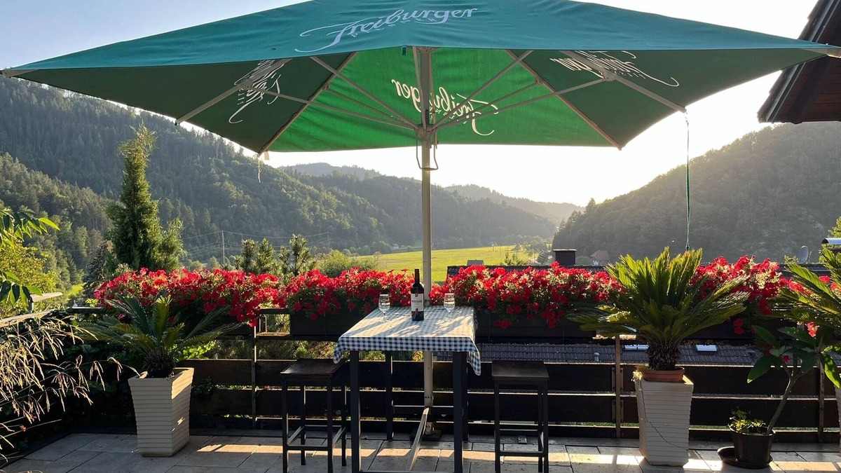 Wolfach Apartment | Apartment 'Sonnige Im Kinzigtal' with Mountain View, Private Terrace and Wi-Fi