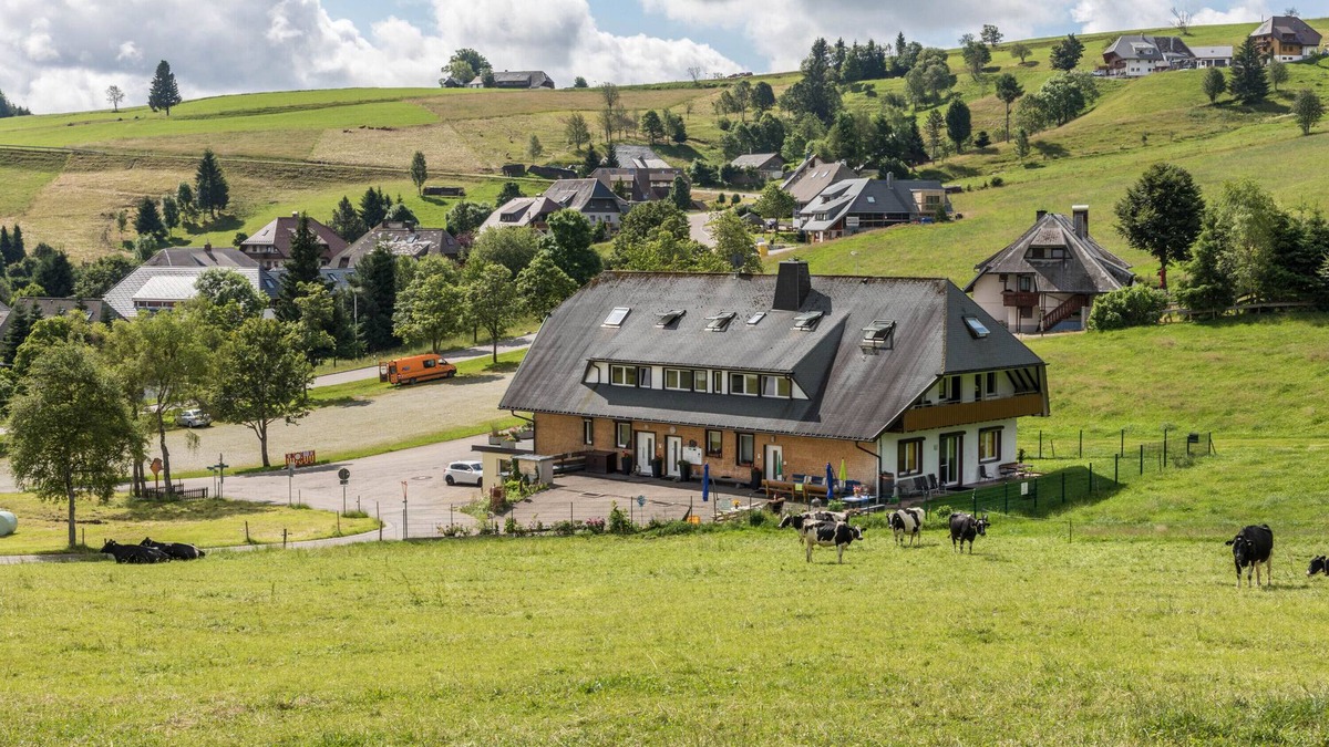 Hofsgrund Apartment | Apartment 'Sport Rees - Ferienwohnung Pia' with Mountain View, Shared Terrace and Wi-Fi