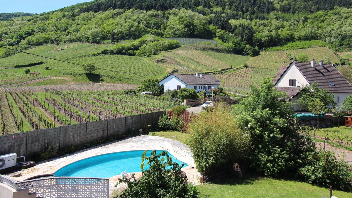 Wintzenheim Apartment | APARTMENT/spa WITH AMAZING VIEWS OF THE ALSACIAN VINEYARDS
