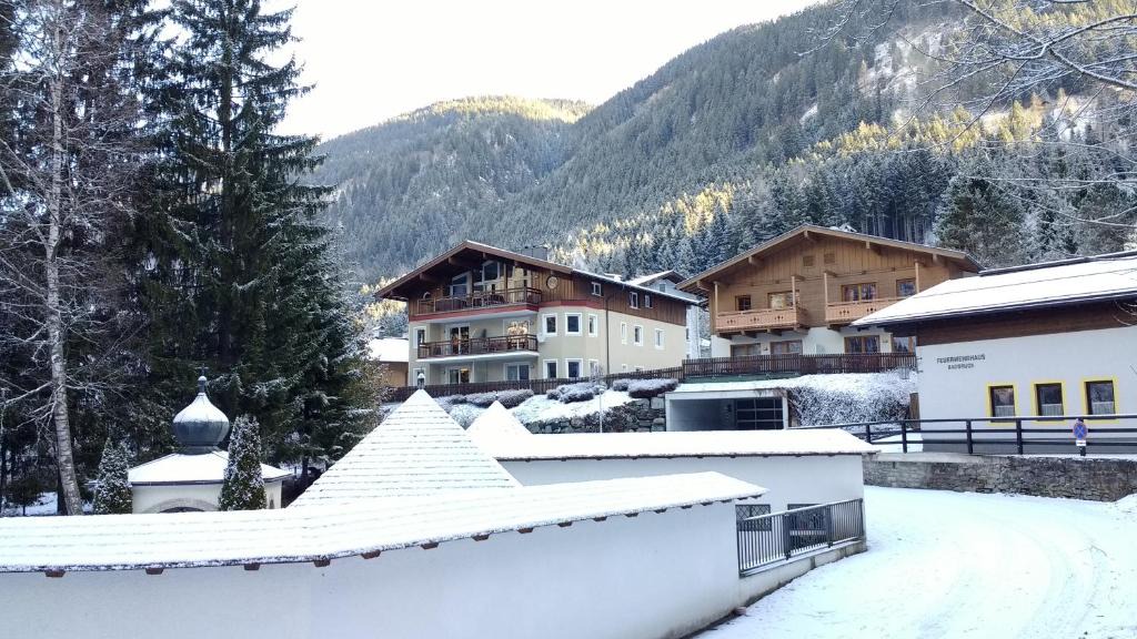 Bad Gastein Apartment | Apartment Steinbock
