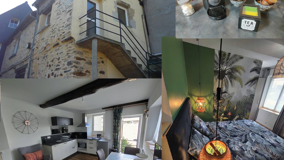 Vitre Apartment | Apartment T2 ★ Le Jungle ★ Downtown quiet courtyard side