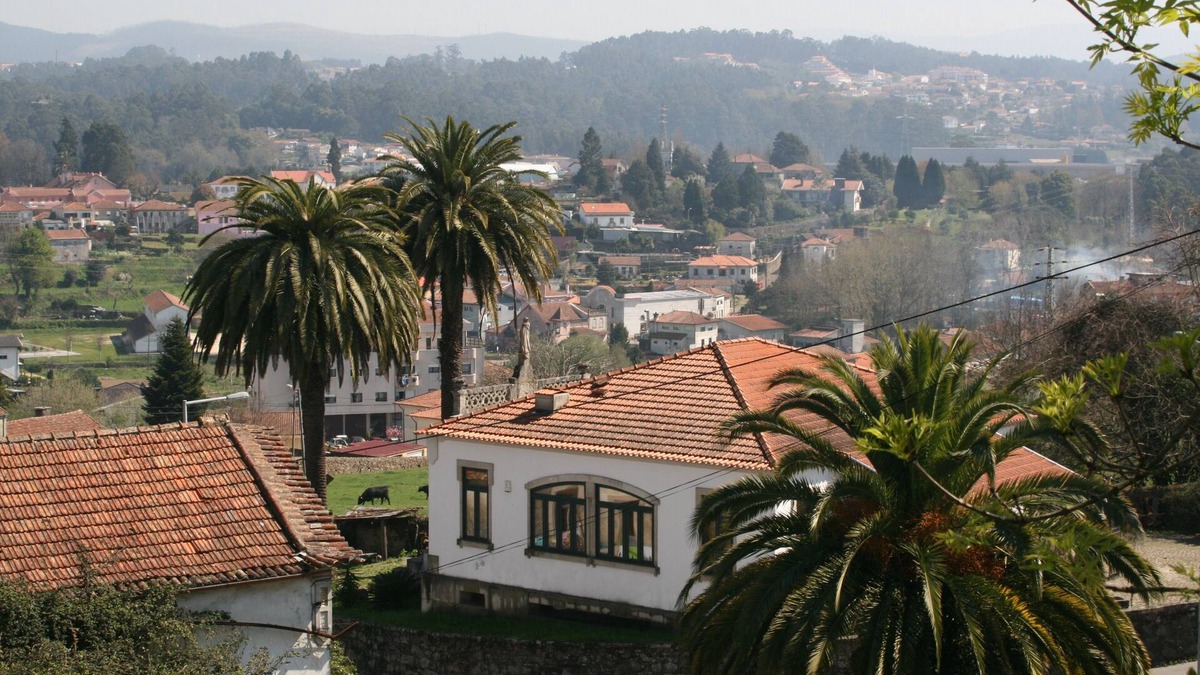 Vila de Cucujaes House | Apartment T3- located between Porto and Aveiro