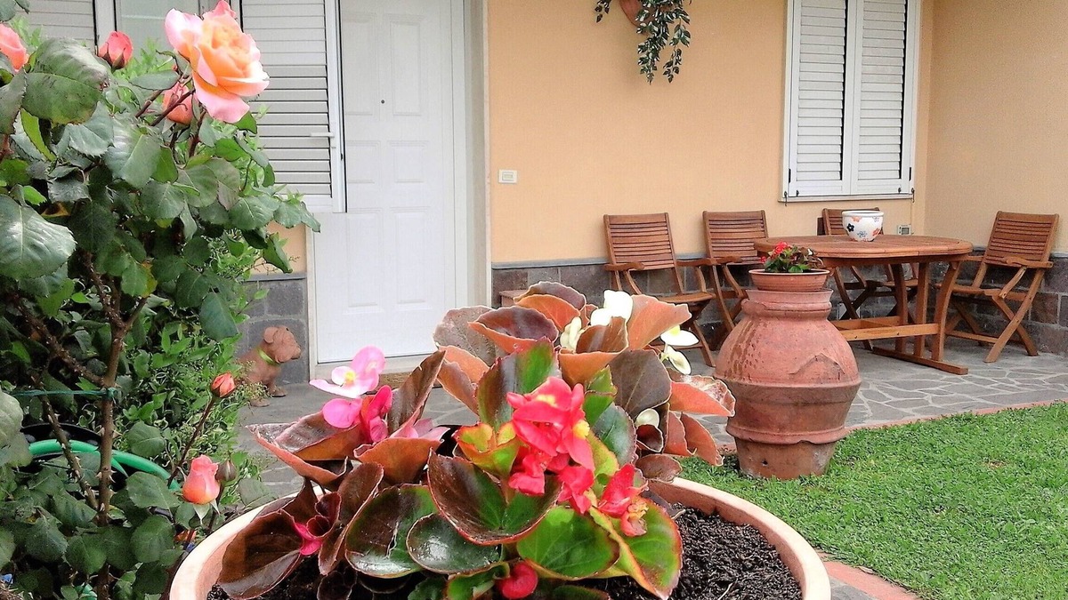 San Miniato Basso Apartment | apartment under the hill of San Miniato