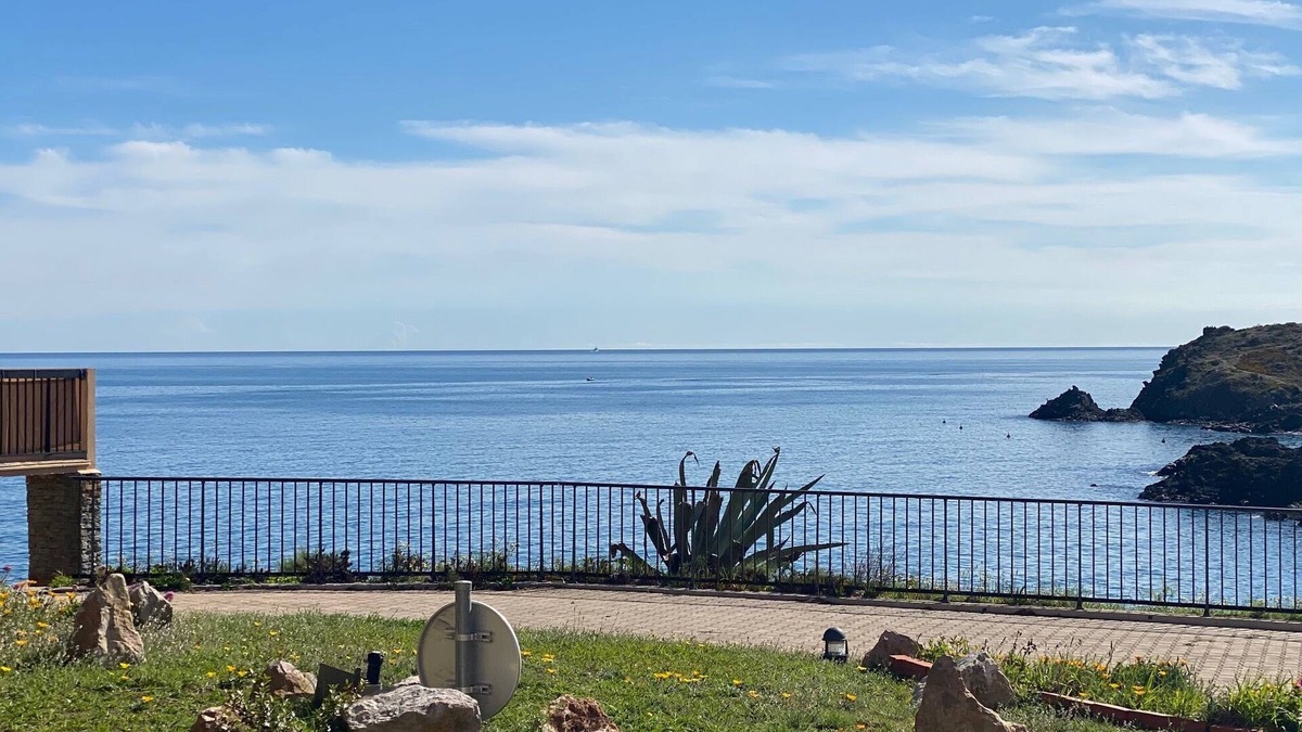Collioure Apartment | Apartment up to 4 people in Collioure feet in water facing the sea