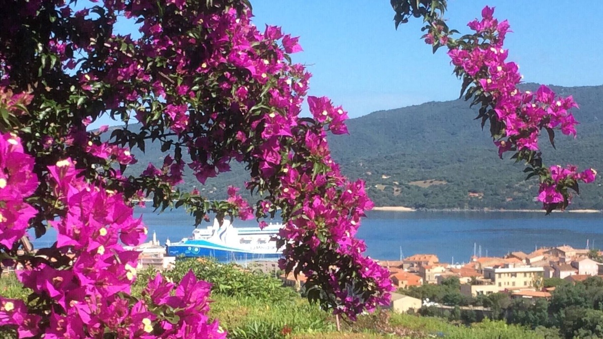 Propriano House | Apartment very beautiful sea view in luxury residence