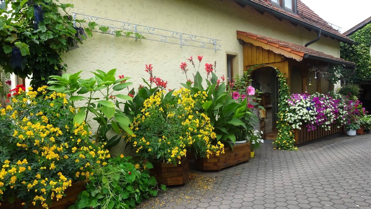 Harsdorf Apartment | Apartment 'Wassergartenparadies' with Shared Terrace, Shared Garden and Wi-Fi