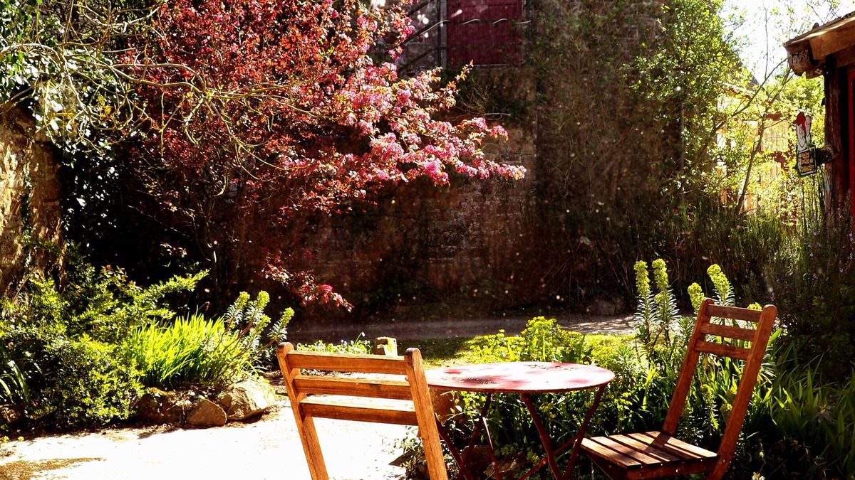 Camlez Apartment | Apartment-Wet room-Garden View