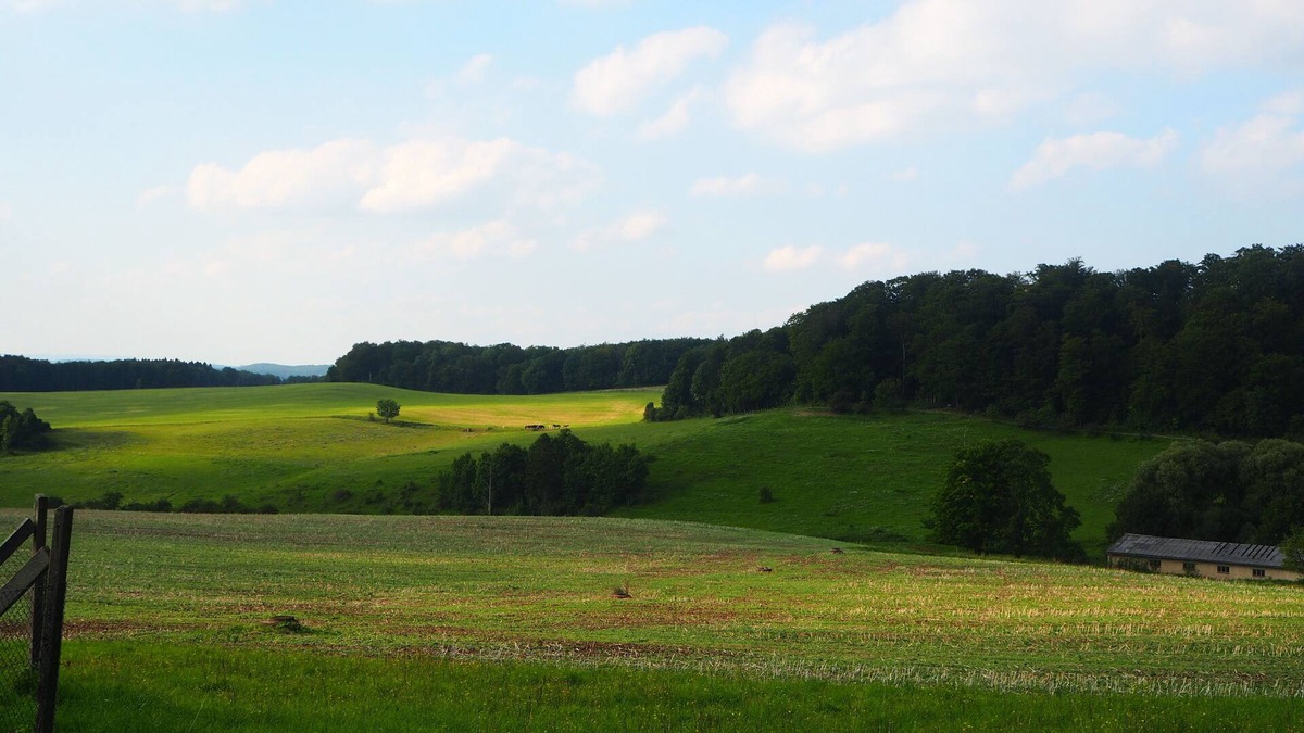 Wilhelmsthal Apartment | Apartment with 3 bedrooms in an idyllic location, close to Eisenach