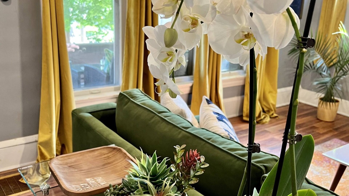 West Akron Apartment | Apartment with a boho, relaxed and soulful vibe in the heart of Highland Square.
