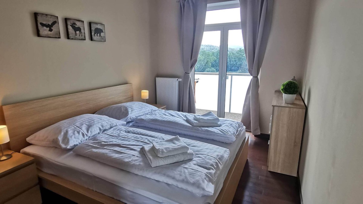Karlovy Vary Apartment | Apartment with a pool, sauna, and free parking