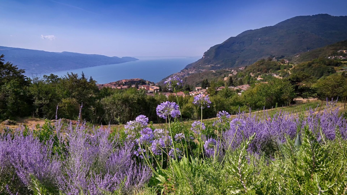 Valvestino Apartment | Apartment with breakfast - Only Adults