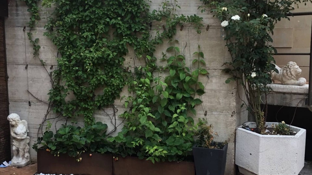 Ezcaray Apartment | APARTMENT WITH GARDEN