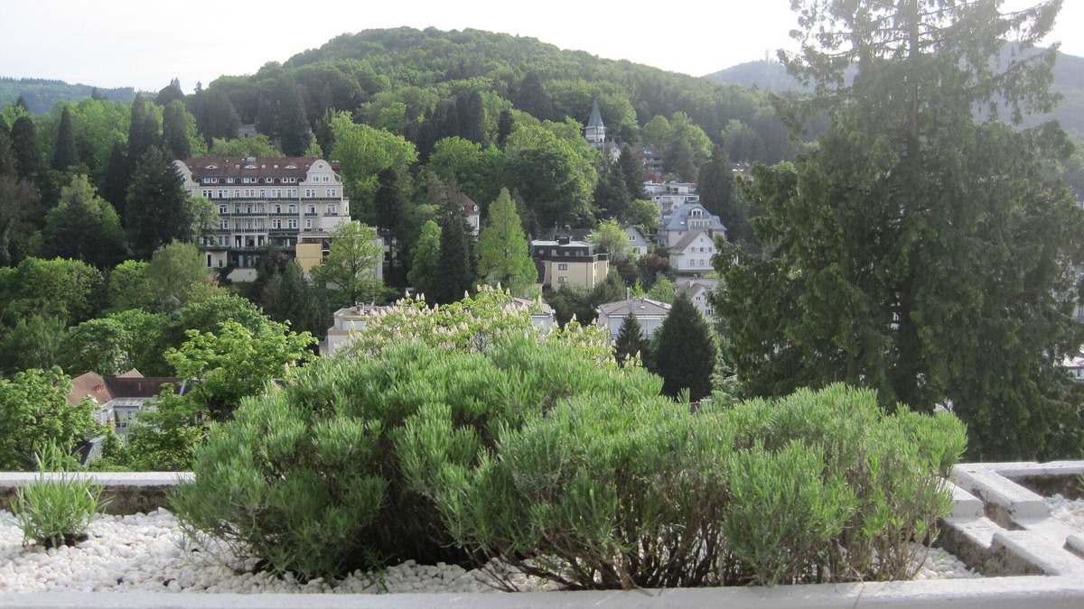 Baden-Baden Apartment | Apartment with large sun terrace and panoramic view near Festspielhaus