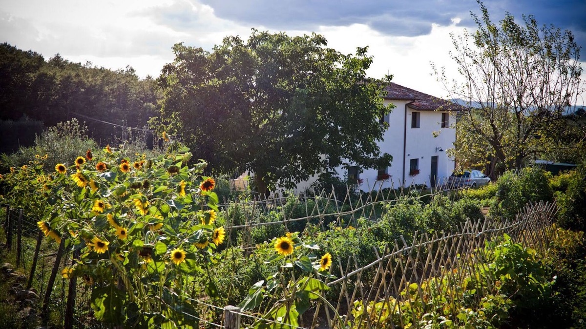 Montegabbione Cottage | Apartment with private garden on the ground of organic farm, infinity pool