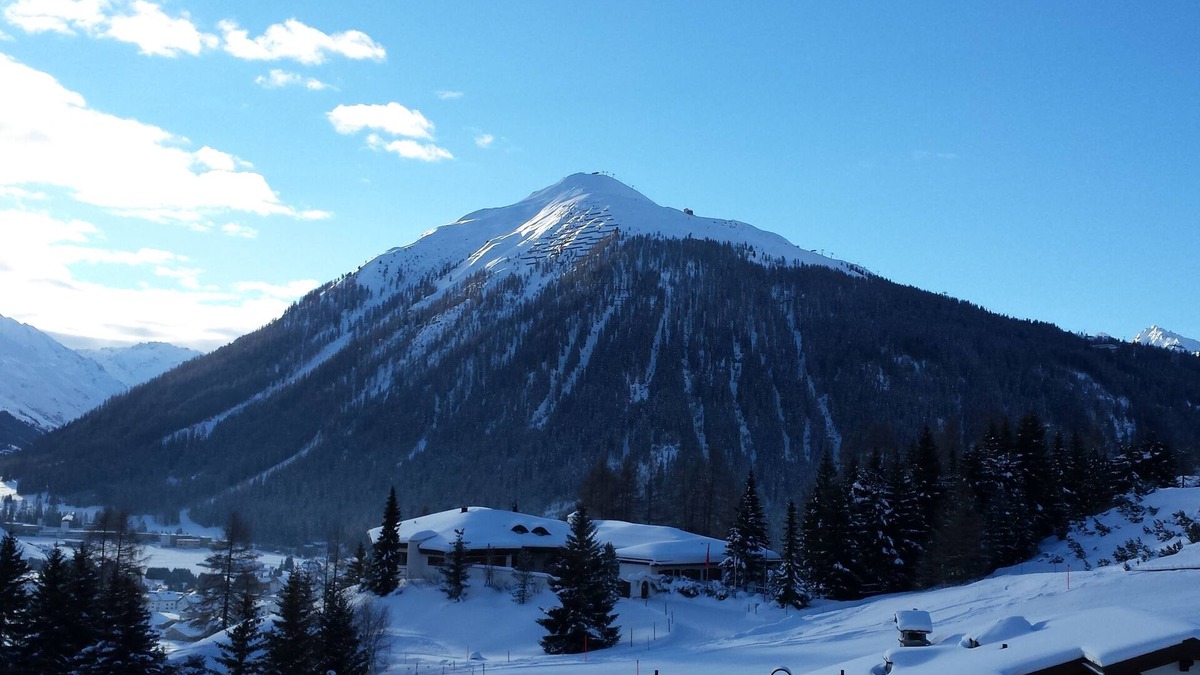 Meierhof Apartment | Apartment with south facing terrace, ski-run directly to the slope possible