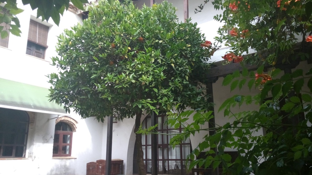 Santa Marina Apartment | APARTMENT WITH TERRACE-SOLARIUM AND OWN PATIO, PATIO DEL LIMONERO