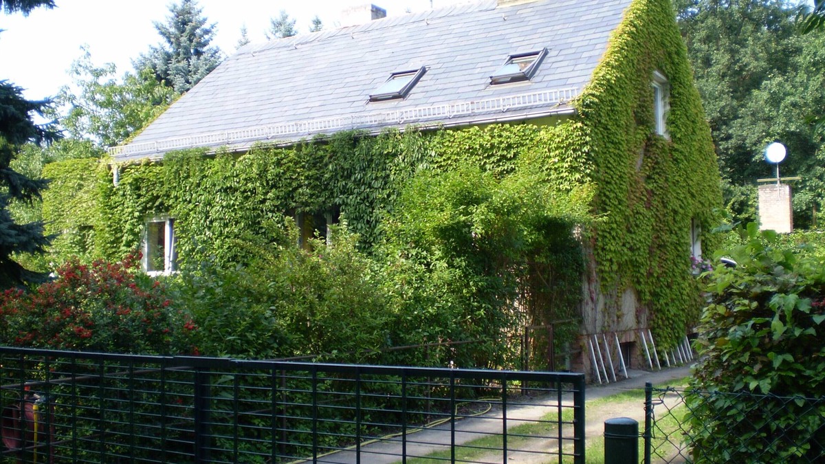 Neuruppin Apartment | Apartment 'Wolf' with Private Terrace, Shared Garden and Wi-Fi