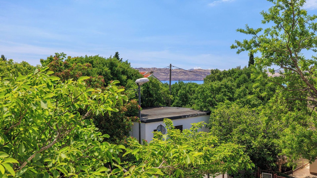 Ribarica Apartment | Apartments Bono (95351-A1) - Karlobag