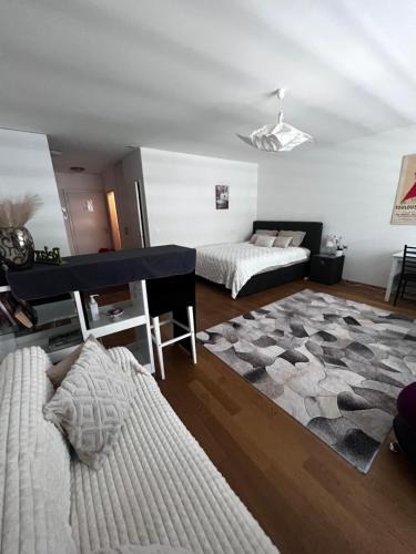 Breitenrain-Lorraine Apartment | Apartments in Bern - Green Relax