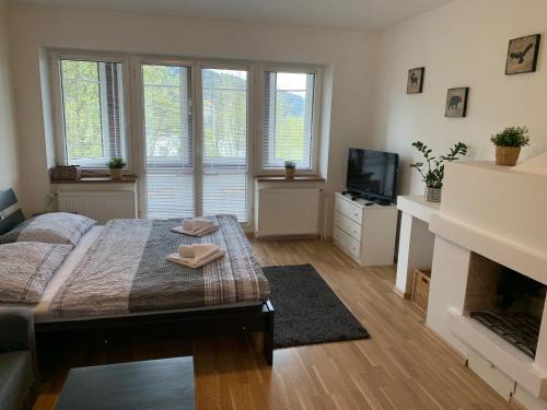 Spindleruv Mlyn Apartment | Apartments Monika