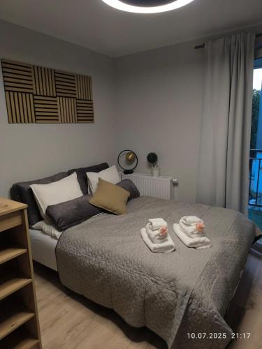 Nowe Miasto Apartment | Apartments Poznań City LOFT