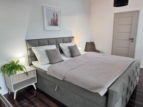 Sered Apartment | Apartments Sered