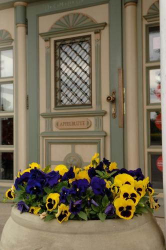 Neufrach Hotel | Apfelblüte bed & breakfast 8 km vom Bodensee