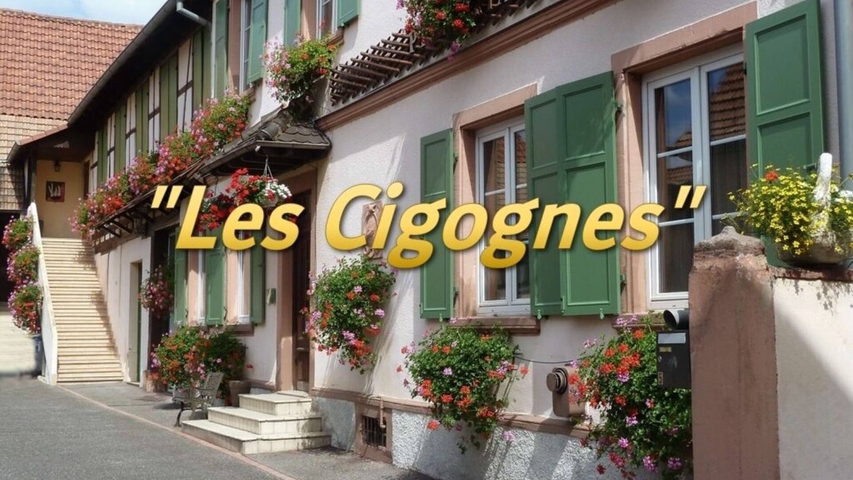 Hoerdt Apartment | Appart. 2 rooms "Les Cigognes" near Strasbourg. 3* Furnished Accommodation