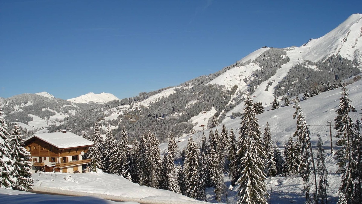 La Clusaz Ski Chalet | appart. for 5 people in a chalet with 4 apartments. of which the owner