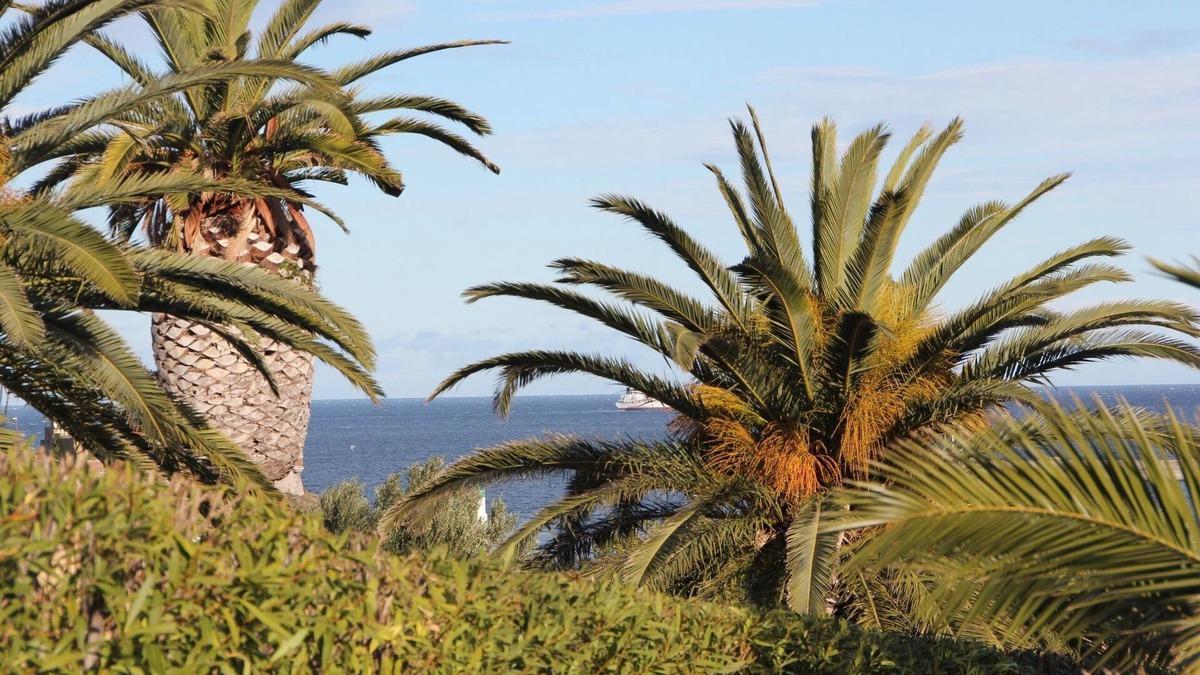 Port-Vendres Apartment | APPART T3 of 55 m2 SEA VIEW 2 BED 2/4/6 PERS, VERANDA, WIFI, GARAGE, 200 m FROM THE PORT