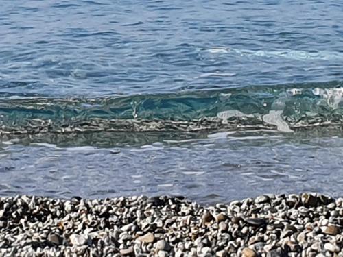Fornaci Apartment | Appartamento a 100 metri dal mare
