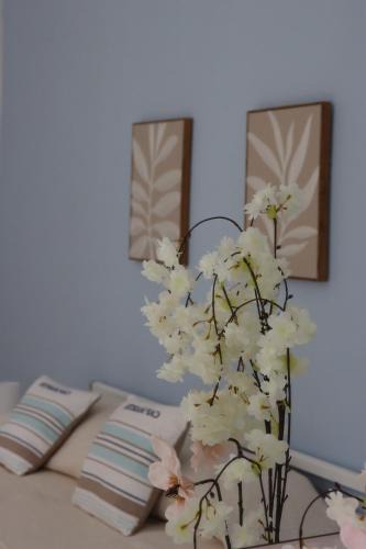 Acquedolci House | Appartamento Ciclamino