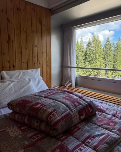 Marilleva Apartment | Appartamento Francesca