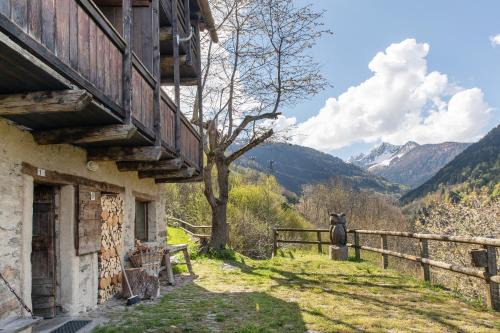 Tartano Apartment | Appartamento Furfulera