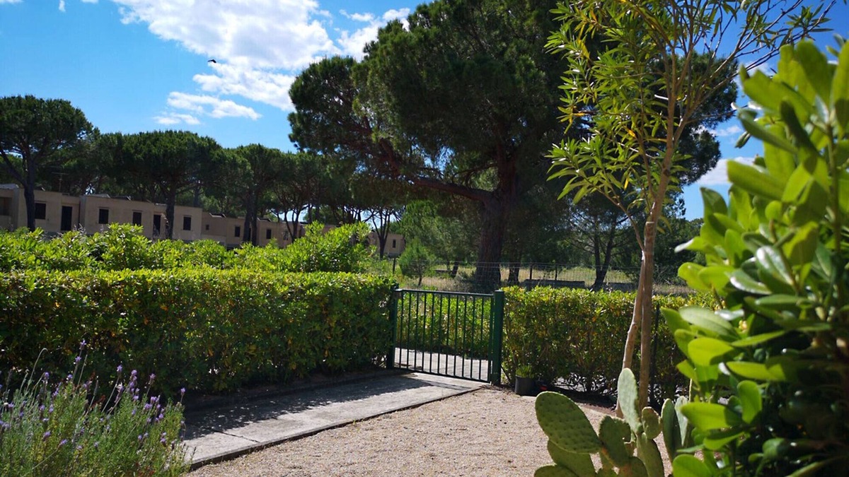 Principina a Mare Apartment | Appartamento Bruno