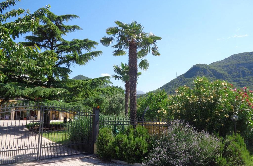 Roe Volciano Apartment | appartamento Margherita