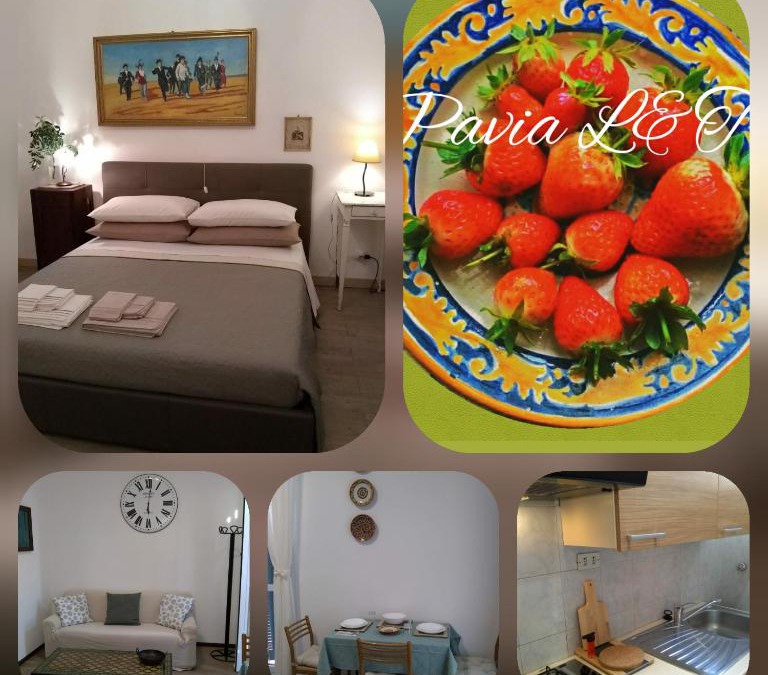 Pavia Apartment | Appartamento Pavia L&T