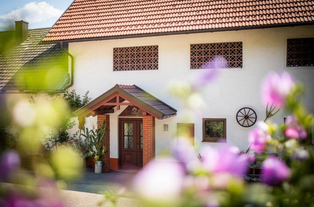 Sankt Michael bei Bleiburg House | Appartements und Vinoteka DAVID