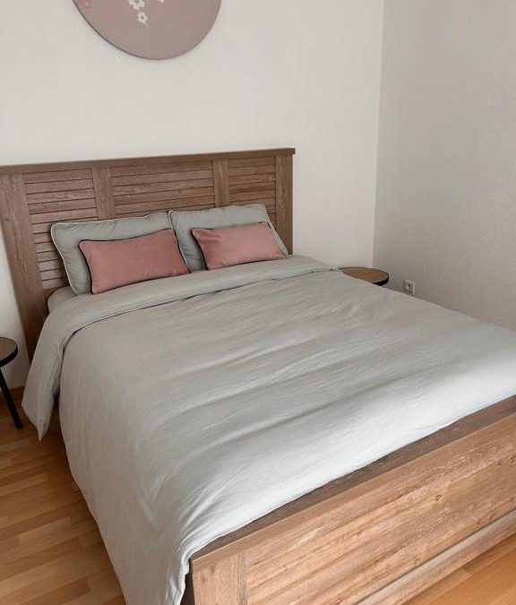 Ep 21 - Saint-Paul Apartment | Appartement 1 chambre rue Faubourg de Besançon