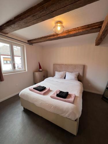 Kintzheim Apartment | Appartement 1769