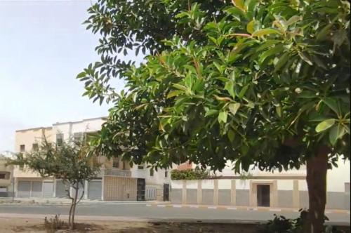 Les Amicales Apartment | Appartement Anouar Souss