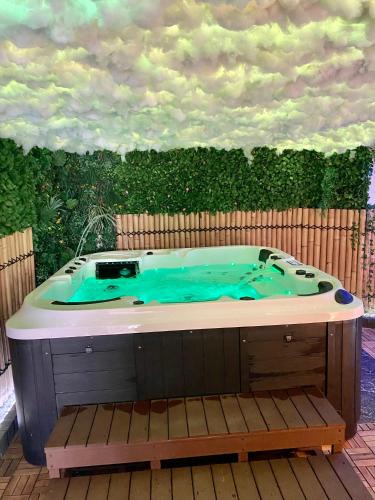 Castres Apartment | Appartement avec Jaccuzi & Jardin