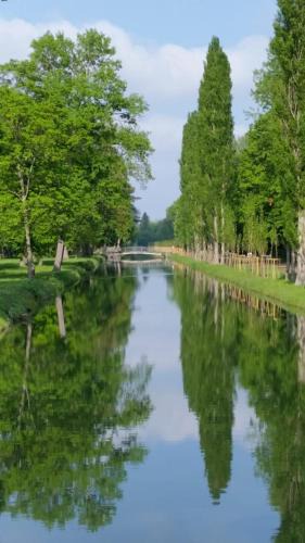 Laxenburg Apartment | Appartement beim Schloss