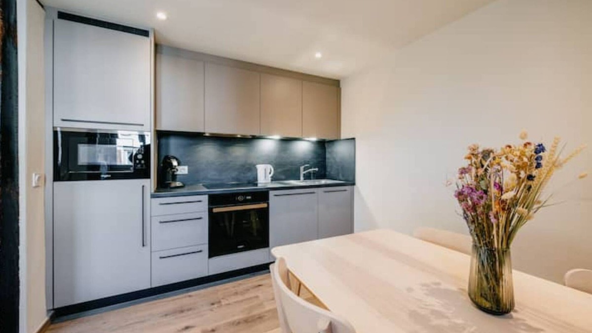 Boofzheim Apartment | Appartement Châtaignier Accès PMR Près Europapark