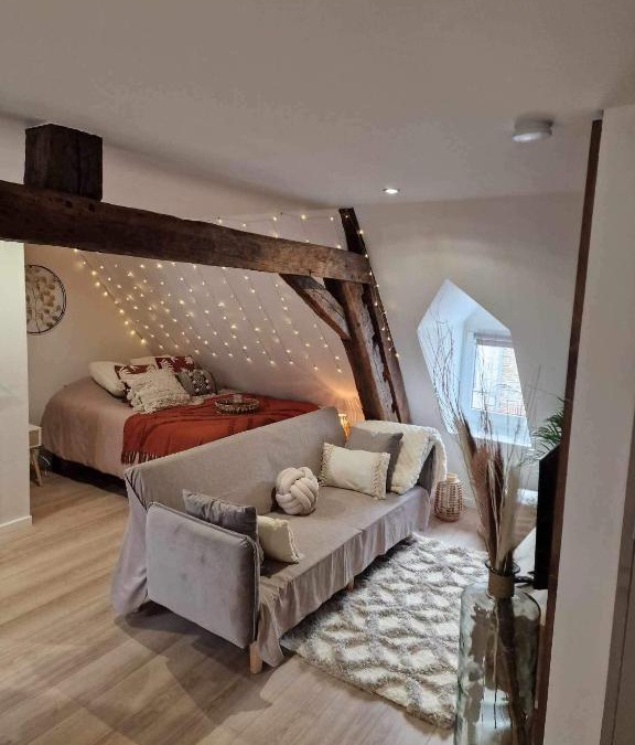 Solre-le-Chateau Apartment | Appartement cocooning