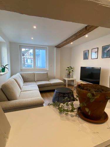 Soufflenheim Apartment | Appartement confortable